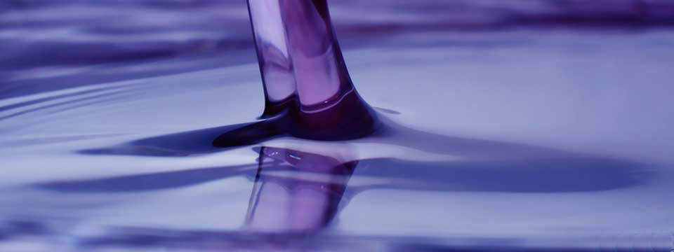 lavanda4slider
